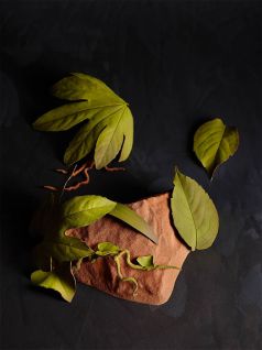 Frederic Bau-Valrhona instag-naturellement chocolat.jpg